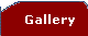 A Gallery of Images